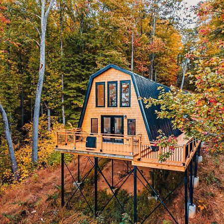 Secluded Mtn View New! 10 Mins To Gatlinburg Or Park Villa Kültér fotó