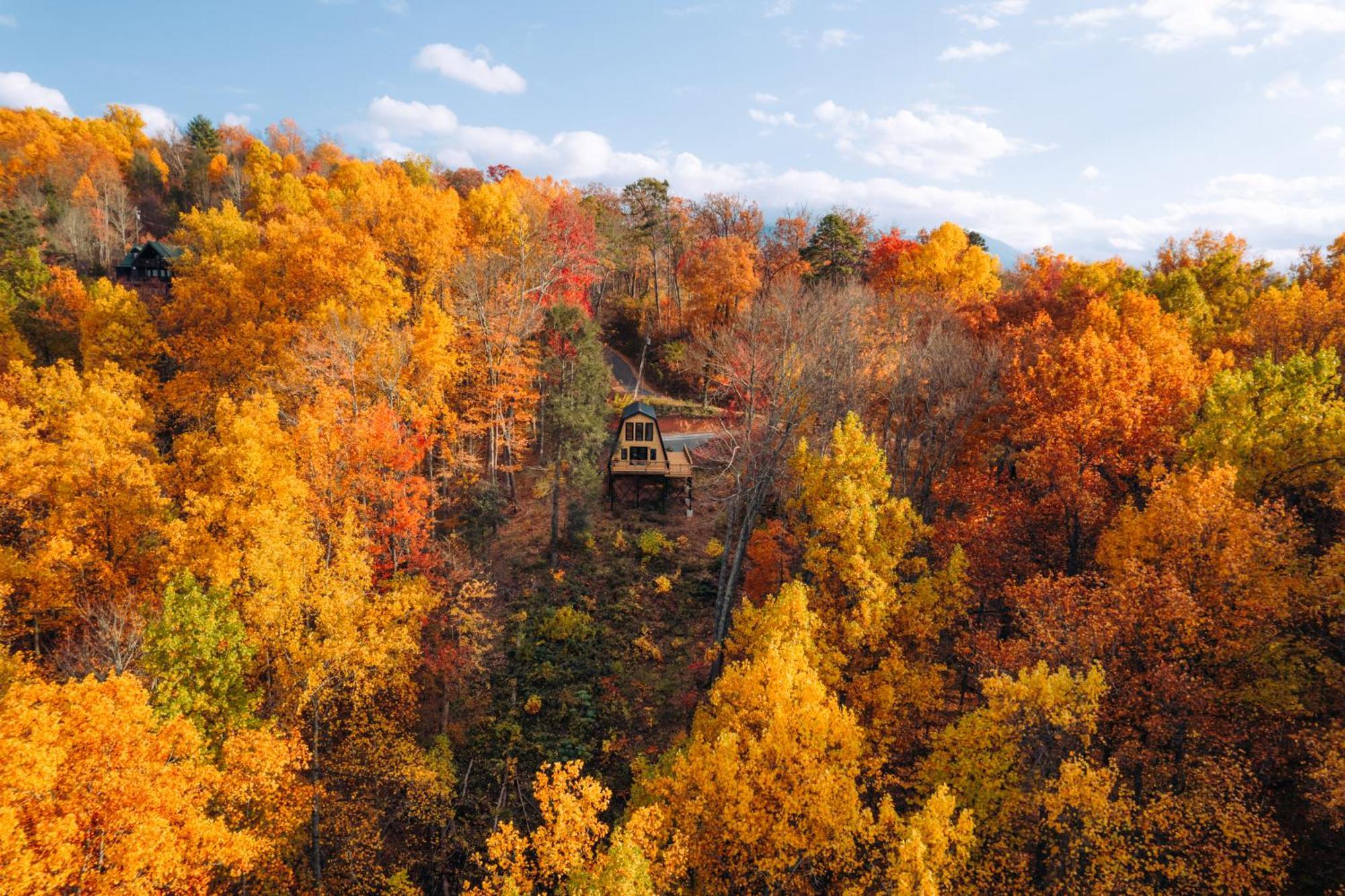 Secluded Mtn View New! 10 Mins To Gatlinburg Or Park Villa Kültér fotó
